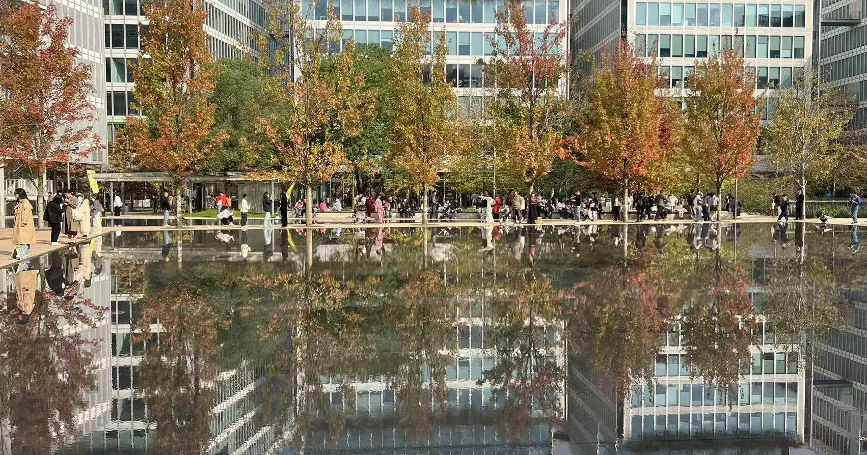 Micron and SanDisk’s Surge: Real Prosperity from Memory Shortages or a Market Bubble?
