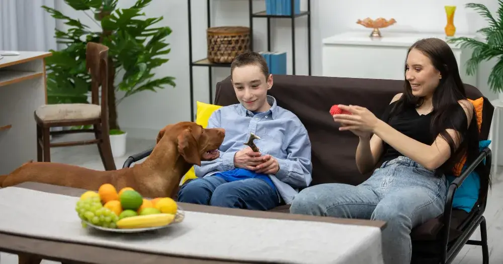 How a Pet Buddy System Can Improve Socialization for Pets
