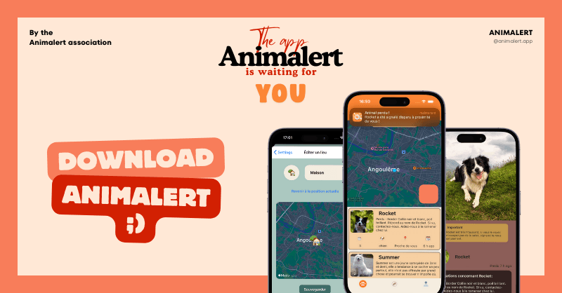 Animalert image 1