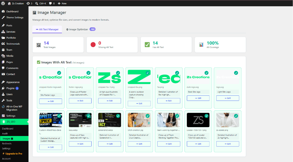 ZS SEO Audit and Optimization image 4
