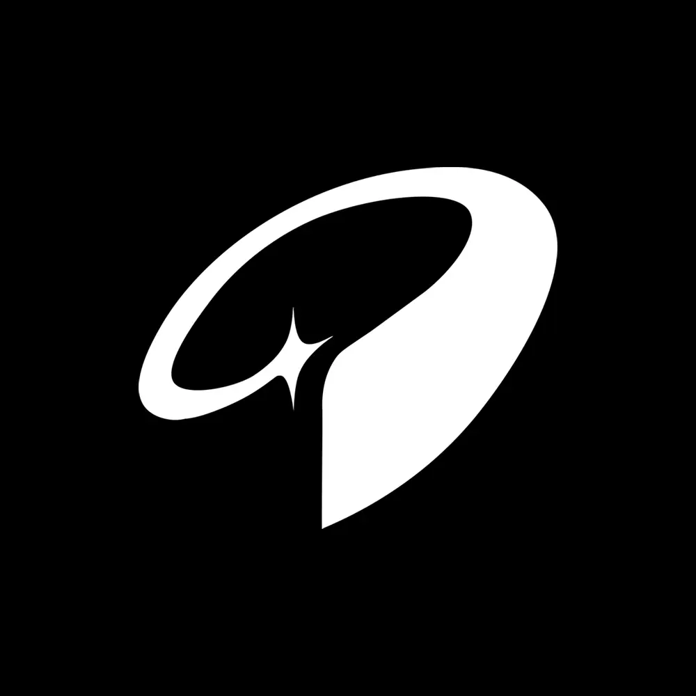 The Experience Company