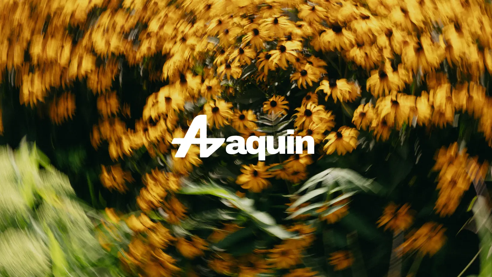 Aquin on Peerlist