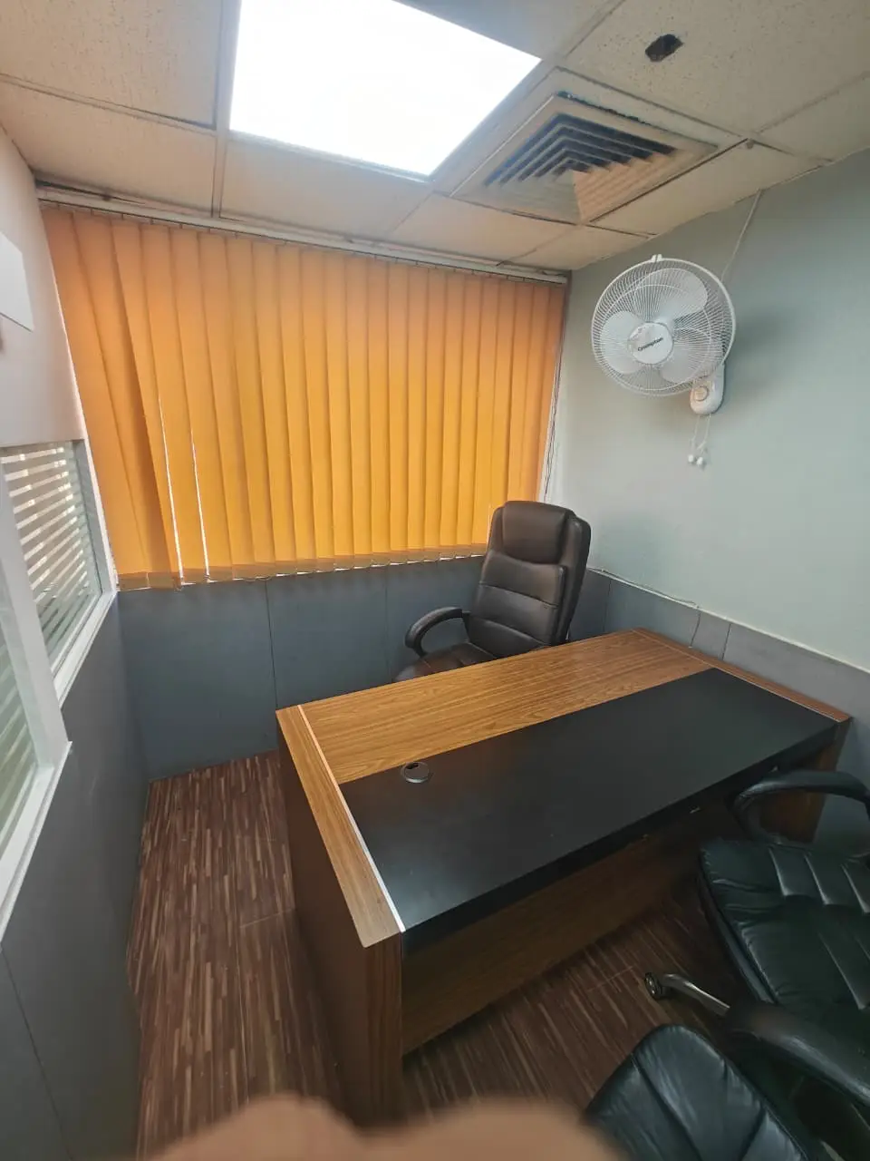 LanguageNext on Peerlist