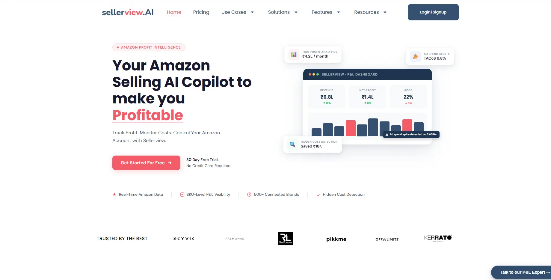 Sellerview.ai on Peerlist