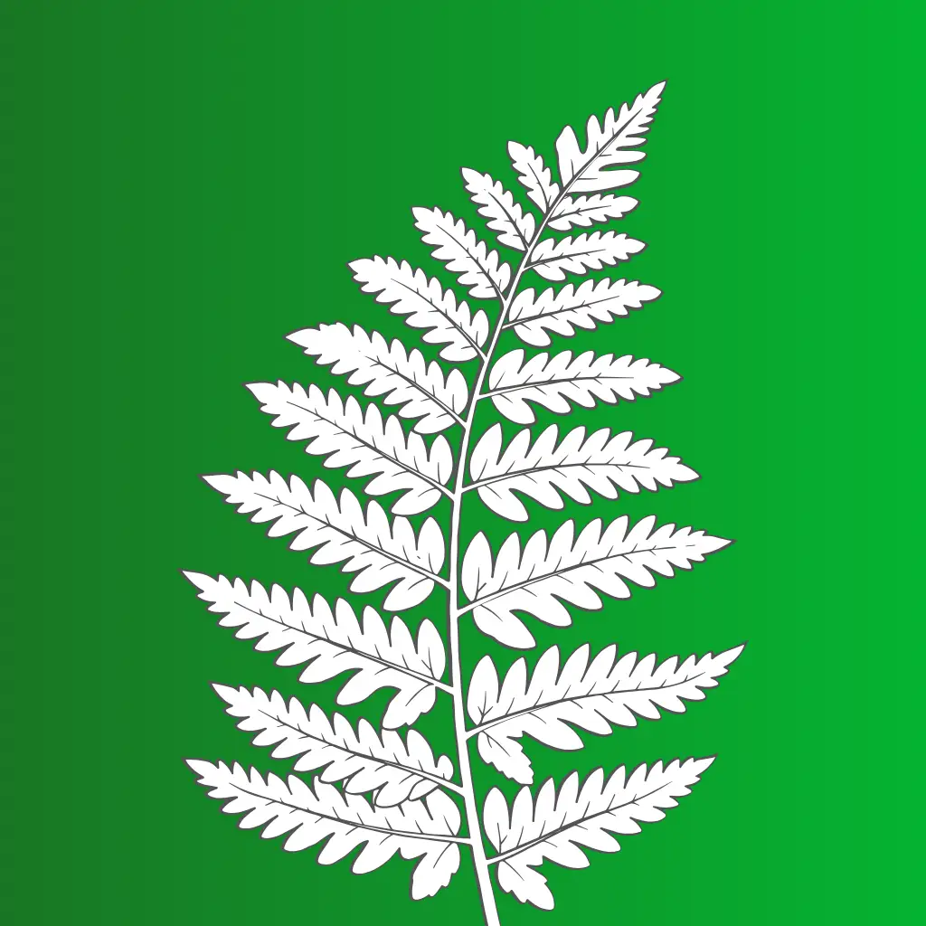 Niguro
