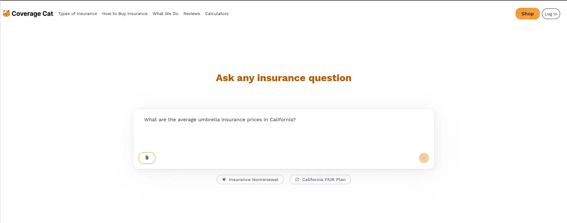 Coverage Cat on Peerlist