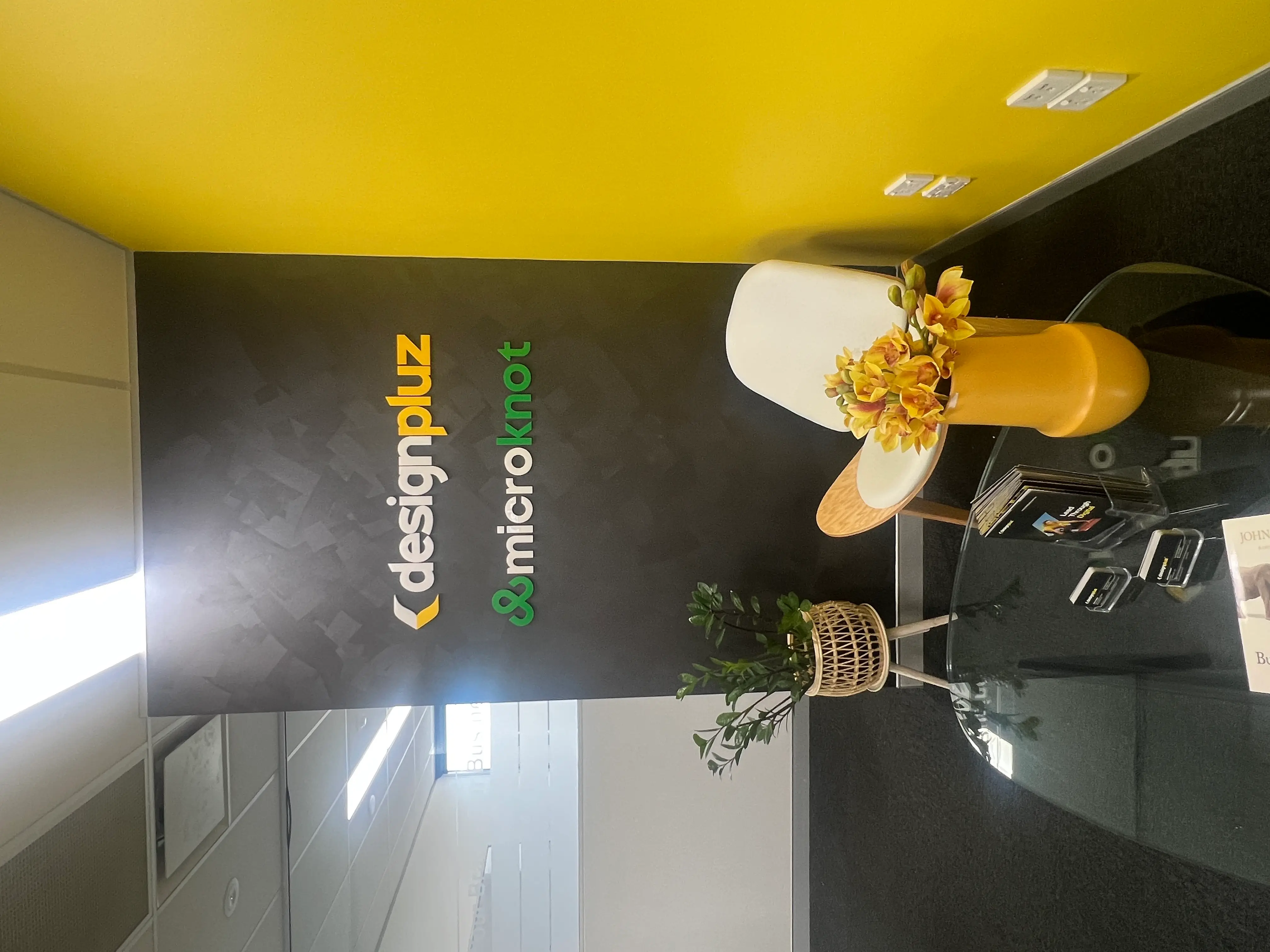 Designpluz on Peerlist