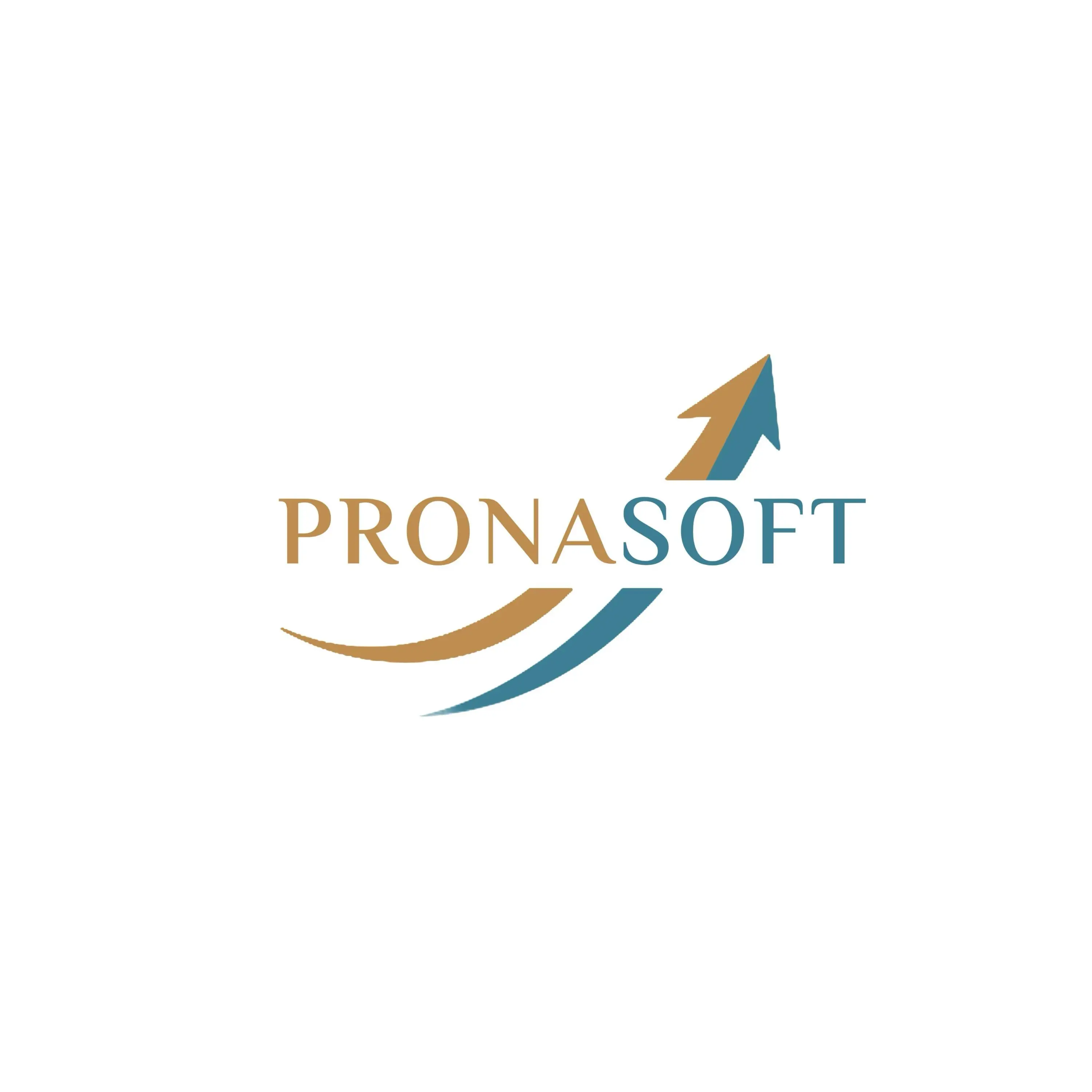 PronaSoft India Pvt. Ltd.