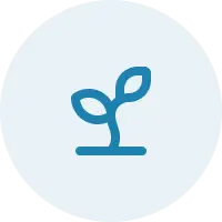 OpenSeed